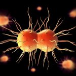 Preventing and Treating Gonorrhea: Essential Tips for 2023