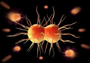 Preventing and Treating Gonorrhea: Essential Tips for 2023