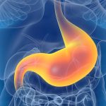 Postbiotics: What Are They and What Are They Good For