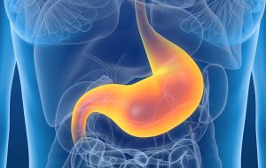Postbiotics: What Are They and What Are They Good For