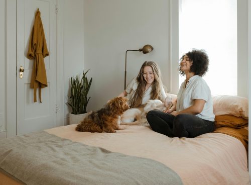 chewy 3cAMUE3YAO8 unsplash