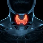 How to Naturally Stimulate Your Thyroid: Foods, Nutrients, and Lifestyle Choices That Promote a Healthy Thyroid