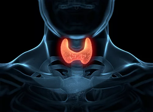 Thyroid Health