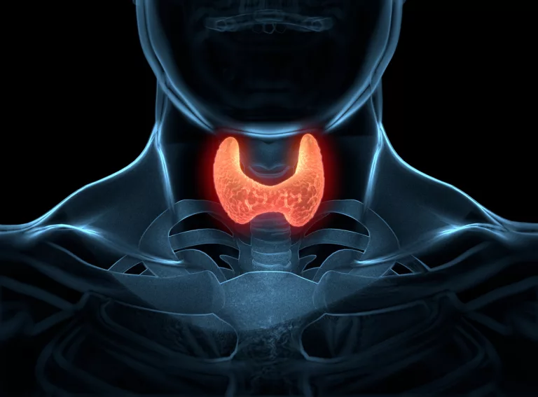 How to Naturally Stimulate Your Thyroid: Foods, Nutrients, and Lifestyle Choices That Promote a Healthy Thyroid