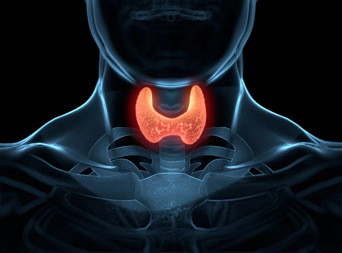 Thyroid Health
