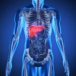 Liver Cleanse: 15 Foods to Eat to Detox and Protect Your Liver