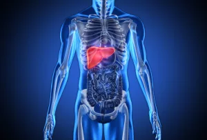 Liver Cleanse: 15 Foods to Eat to Detox and Protect Your Liver