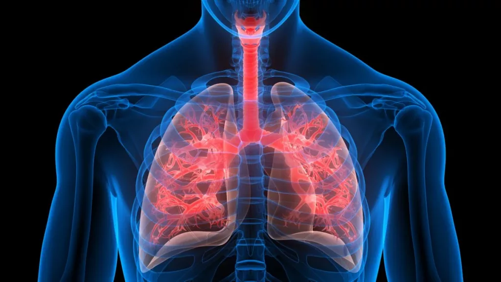 Lung Detox: Foods to Eat and Lifestyle Changes to Adopt for Healthier Lungs 1 Lung Detox: Foods to Eat and Lifestyle Changes to Adopt for Healthier Lungs