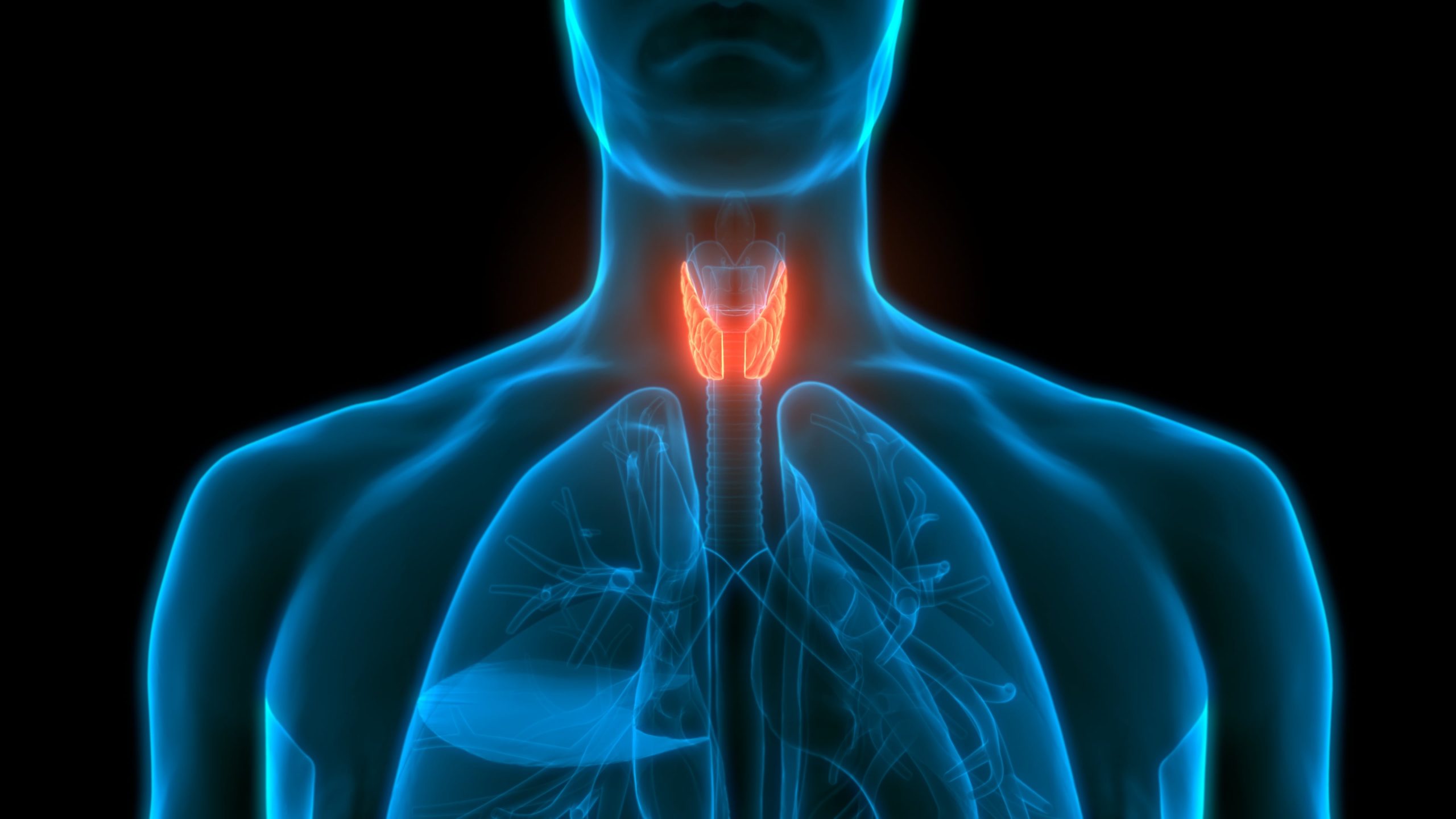 stimulate the thyroid naturally