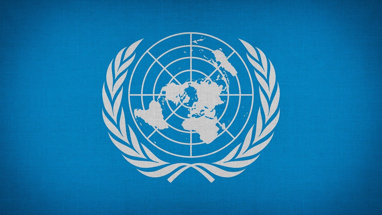 United Nations Pandemic Treaty