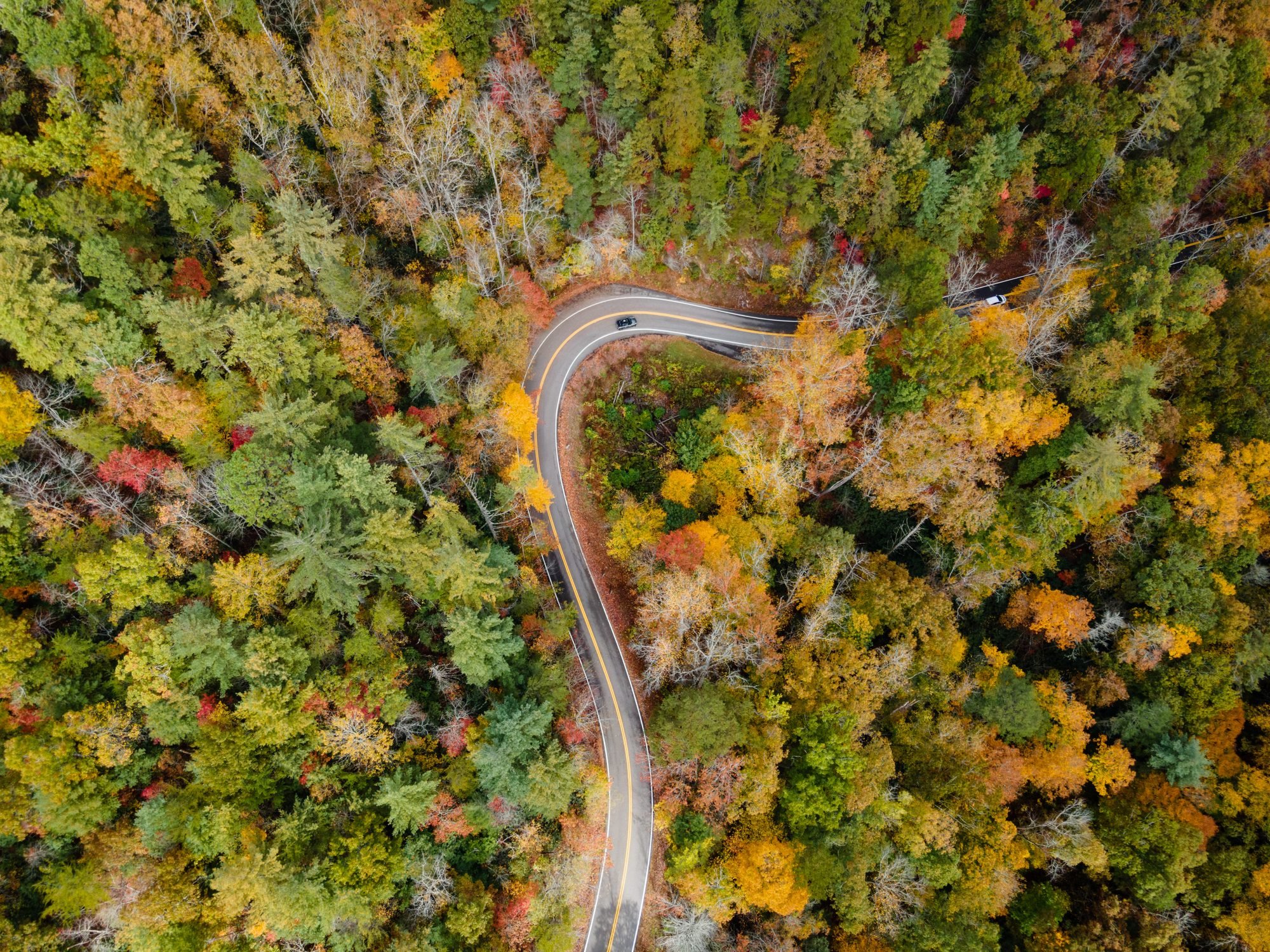 Roads: The Road To Adventure - kodgoeh