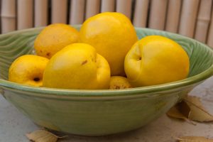 11 Best Health Benefits of Quince for Women