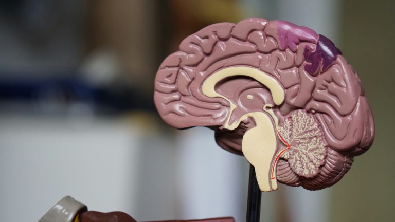 11 Strategies to Help Your Child Develop a Love for Science and Exploration