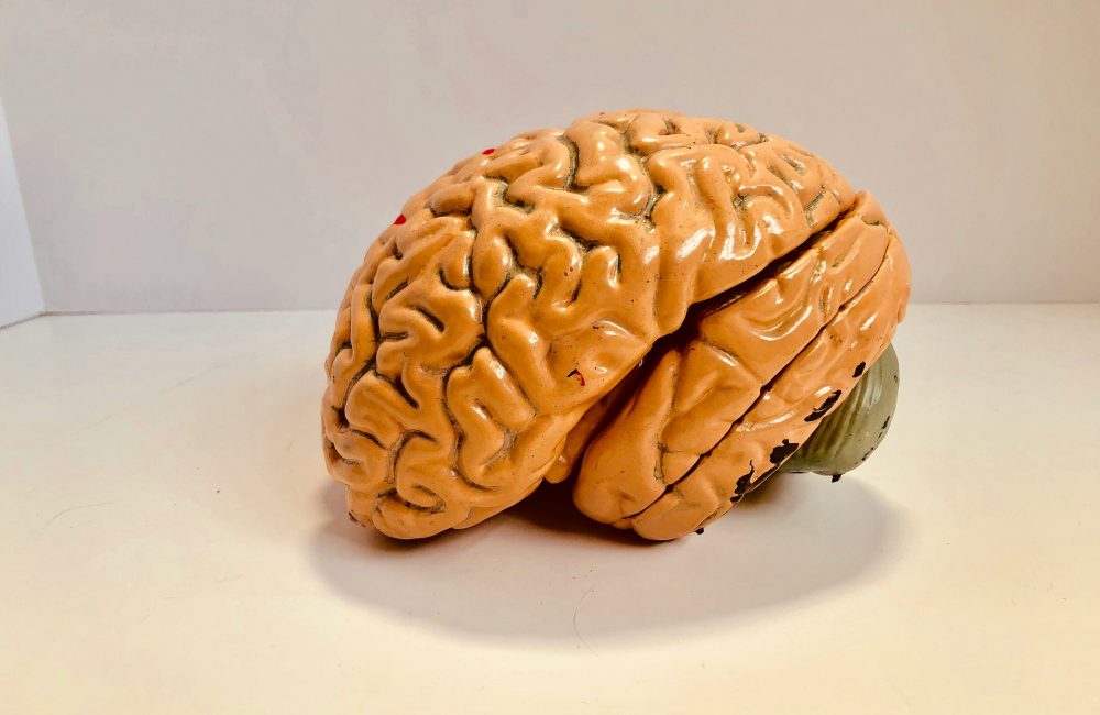 6578bb4f 989f 4d46 a018 f062d1f9ea04 1