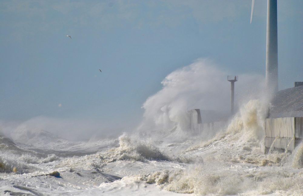 933ed8b8 dfba 49e7 bf8f 9cd254117a04 1