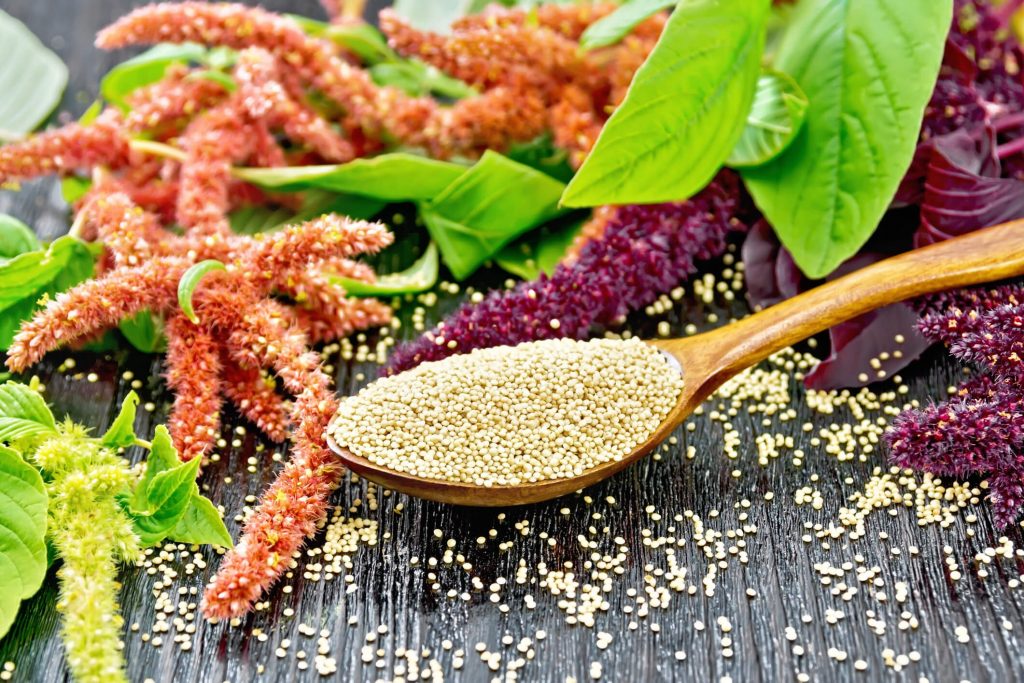 15 Exotic Food Options that Strengthen Bones and Combat Osteoporosis 3 Amaranth