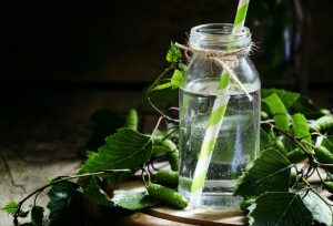 15 Powerful Benefits of Drinking Birch Water