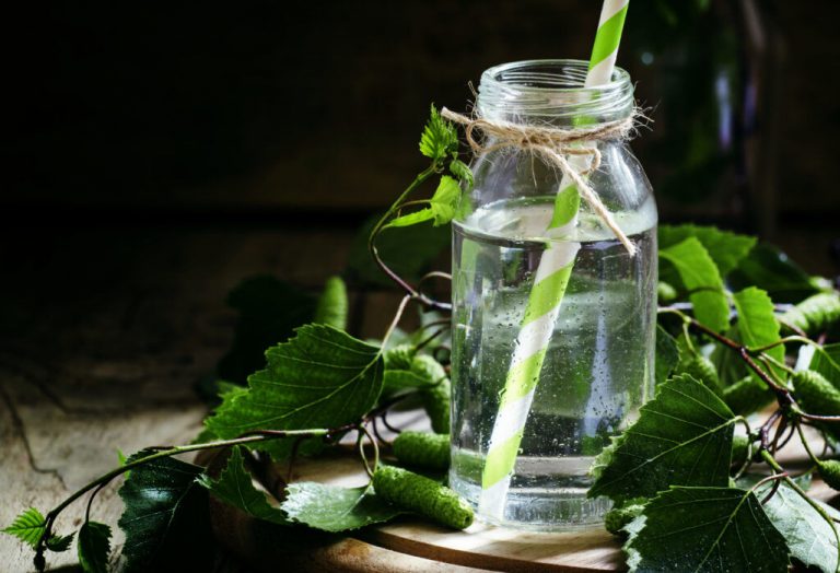 15 Powerful Benefits of Drinking Birch Water