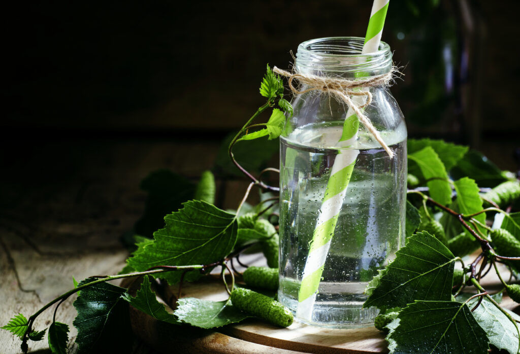 15 Powerful Benefits of Drinking Birch Water 1 15 Powerful Benefits of Drinking Birch Water