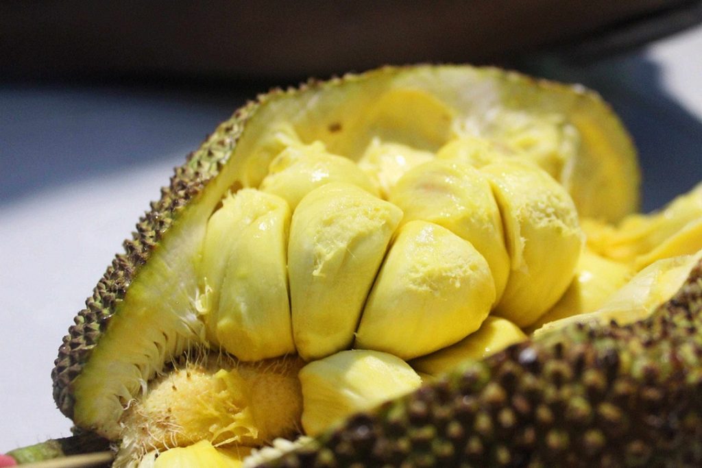 14 Best Health Benefits of Cempedak for Children 1 14 Best Health Benefits of Cempedak for Children