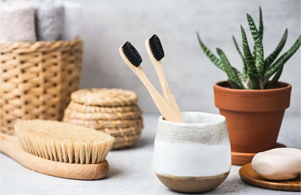 Charcoal Toothbrushes
