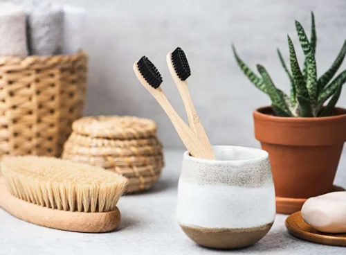 Charcoal Toothbrushes