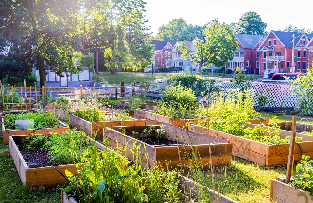 Community Gardens