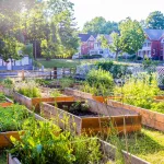 18 Benefits of Participating in Community Gardens