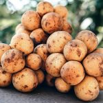 16 Surprising Health Benefits of Langsat for Men