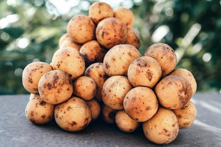 16 Surprising Health Benefits of Langsat for Men