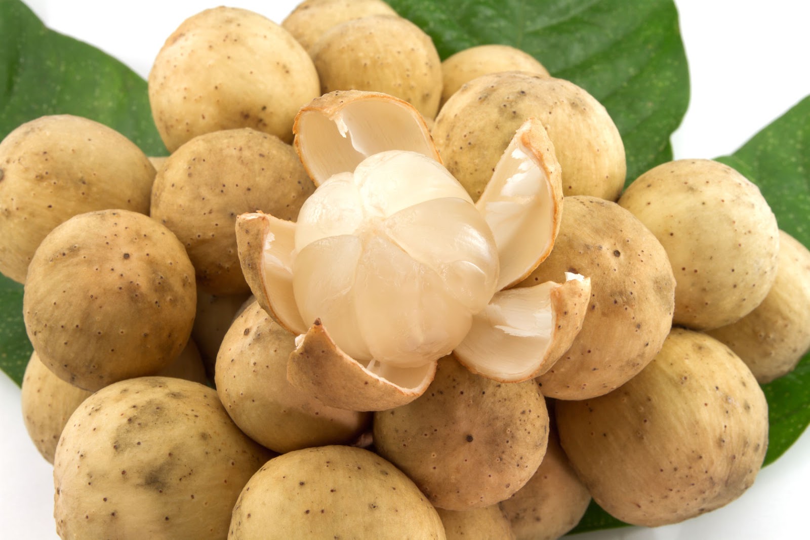 13 Best Health Benefits of Langsat: The Superfruit You Need to Know About 1 Langsat