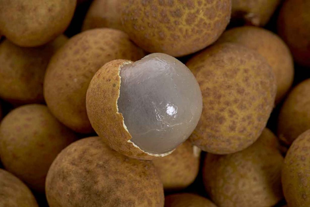 15 Best Health Benefits of Longan 1 15 Best Health Benefits of Longan