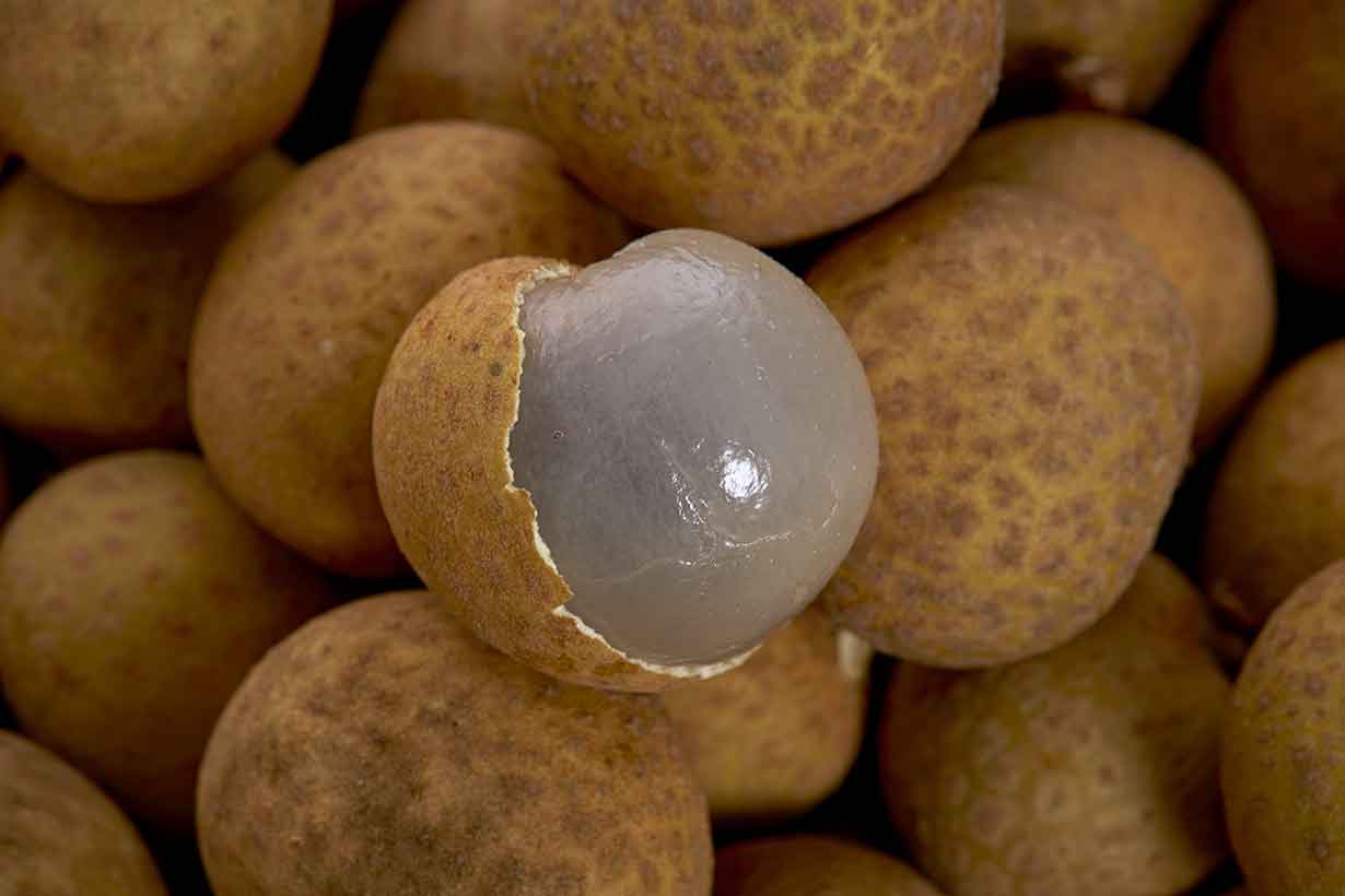 15 Best Health Benefits of Longan 1 Longan