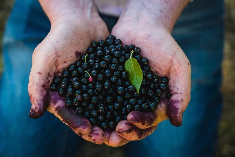 15 Surprising Health Benefits of Maqui Berry