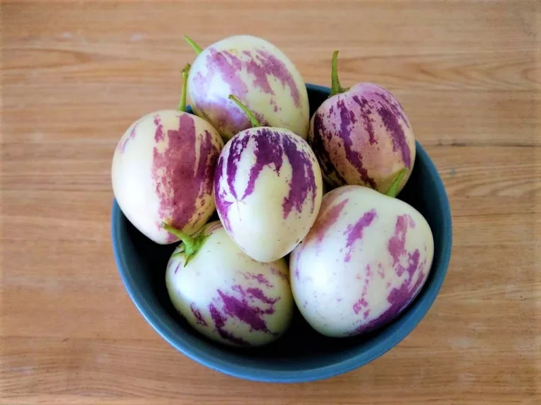 15 Best Health Benefits of Pepino Melon