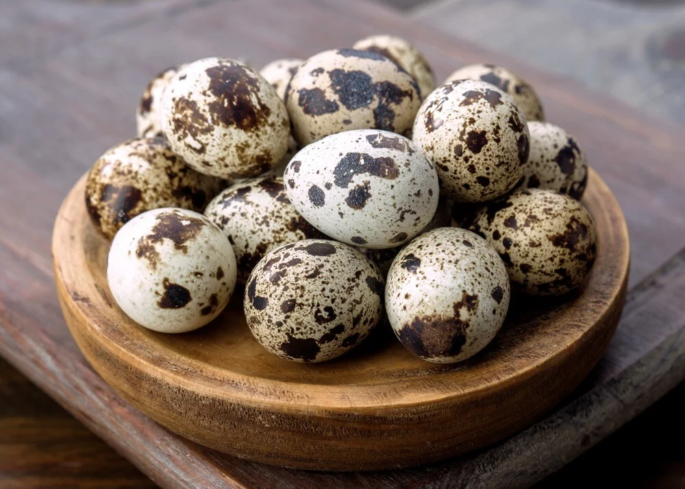 15 Exotic Food Options that Strengthen Bones and Combat Osteoporosis 13 Quail Eggs