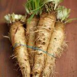 Is Consuming Salsify Root Beneficial for Dietary Fiber Intake?