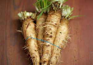 Is Consuming Salsify Root Beneficial for Dietary Fiber Intake?