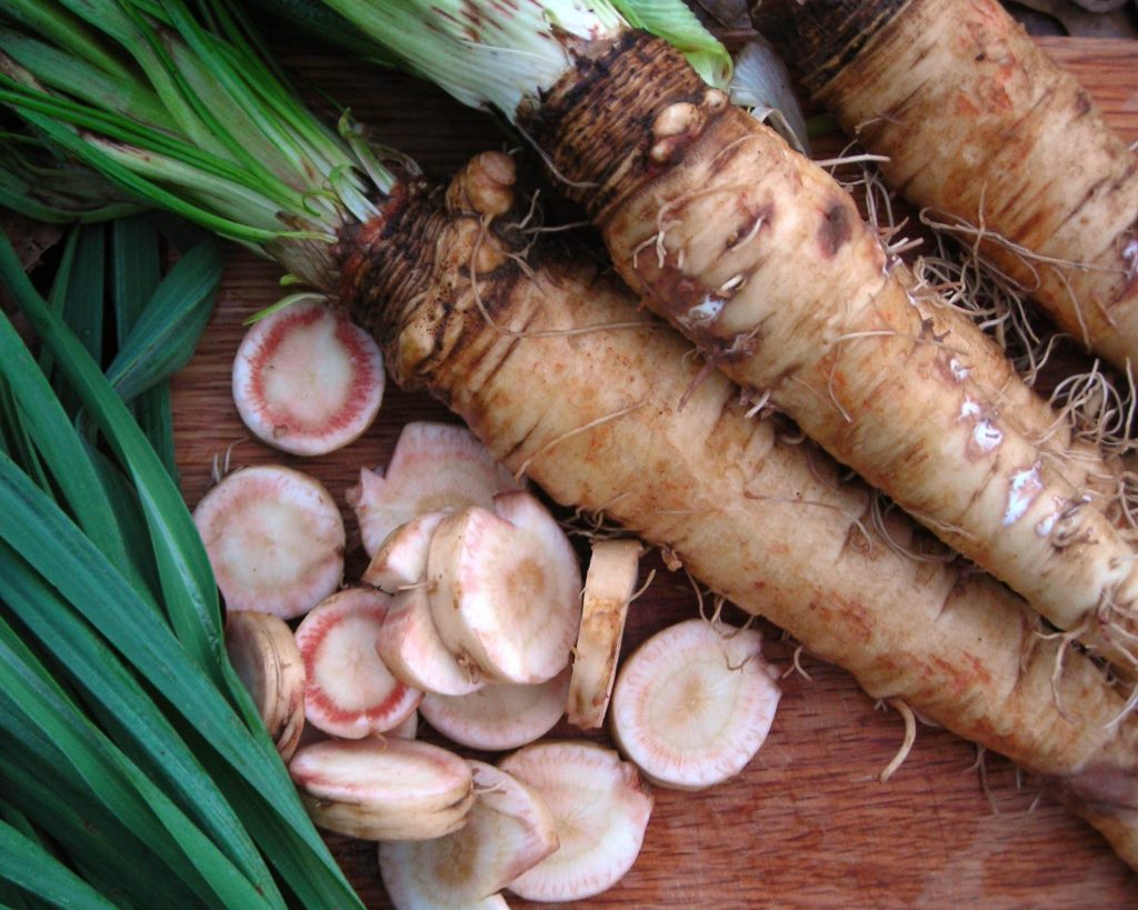 13 Amazing Health Benefits of Salsify 1 13 Amazing Health Benefits of Salsify