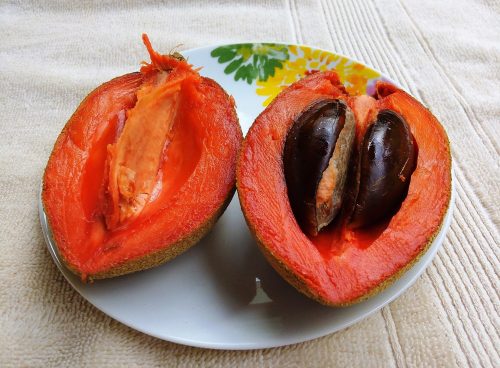 Sapote