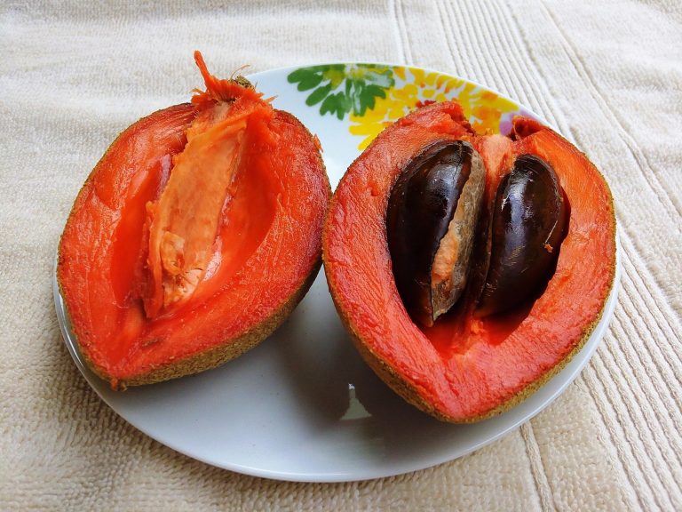 16 Best Health Benefits of Sapote for Men