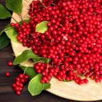 Are Schisandra Berries Good for Liver Health?