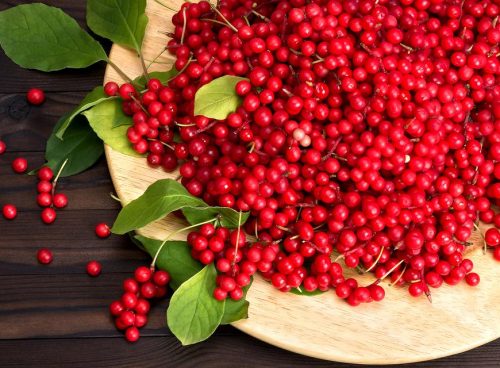 Schisandra Berries