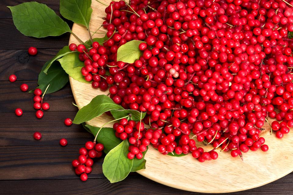 Are Schisandra Berries Good for Liver Health?
