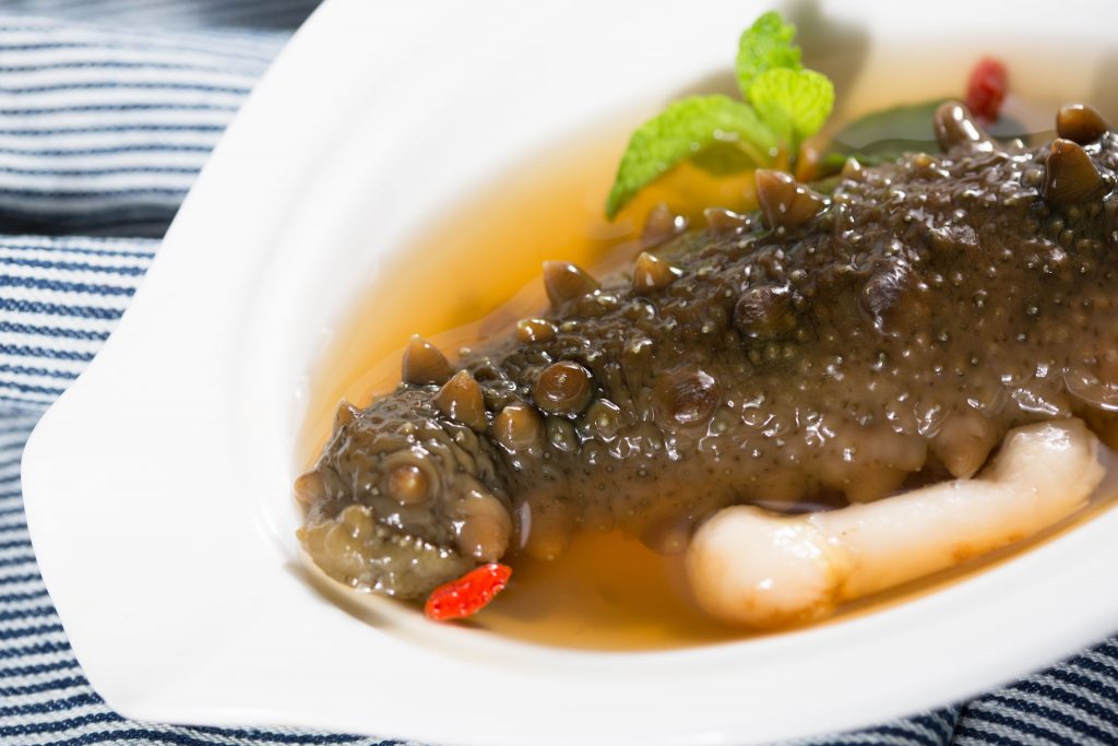 15 Exotic Food Options that Strengthen Bones and Combat Osteoporosis 9 Sea Cucumber