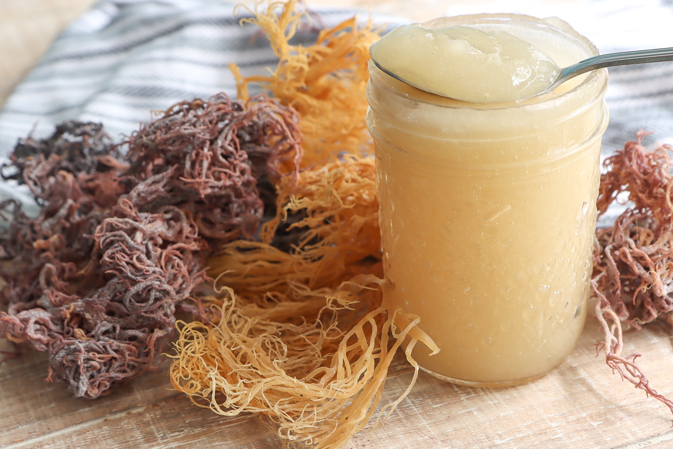 13 Powerful Benefits of Sea Moss Gel for Boosting Mineral Intake and Overall Health 1 Sea Moss Gel