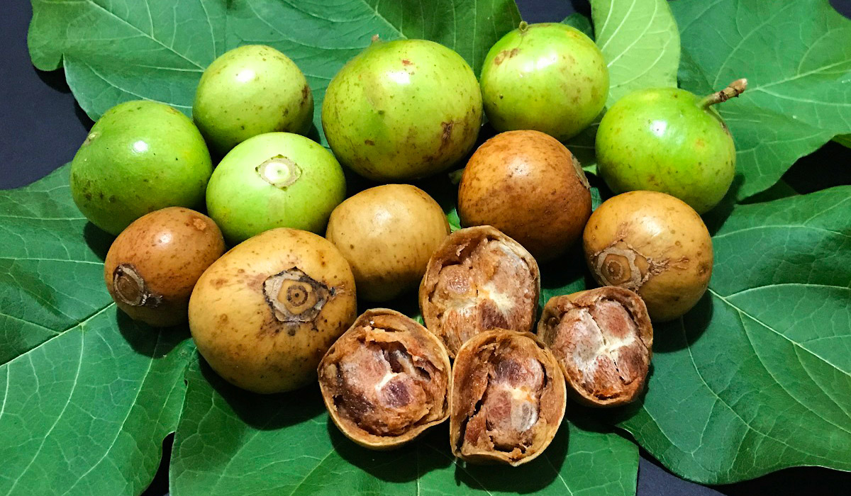 16 Amazing Benefits of Voavanga: A Nutrient-Dense Fruit with Powerful Health Benefits 1 Voavanga