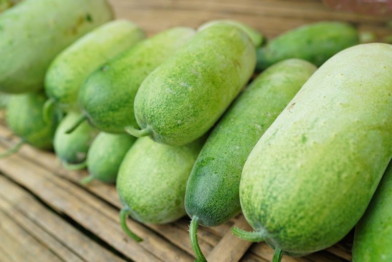 15 Health Benefits of Winter Melon