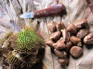 13 Amazing Benefits of Eating Breadnuts