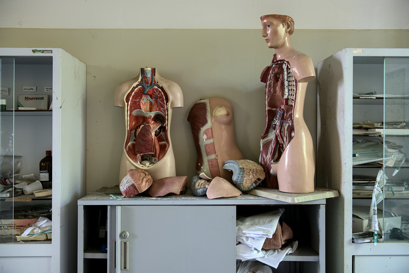 14 Major Signs of an Unhealthy Liver and What You Can Do to Improve It 1 body anatomy mannequins on table